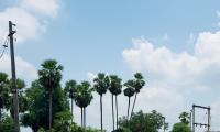 17 Naxal-hit villages get electricity for first time