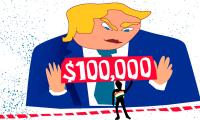 Visa Shock Stalls India's Talent Race