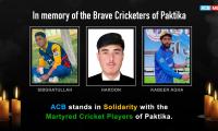 3 Afghan cricketers among several killed in Pak strikes