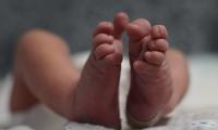 Indore hospital under fire as rats bite, kill two newborns