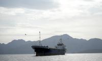 'US Doesn't Depend On Strait of Hormuz For Oil'