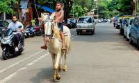 Mumbaikars will be forced to ride horses in future: HC