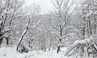 LIVE! Avalanche warning issued for U'khand high-altitude areas 