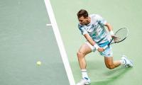 Berdych to face Wawrinka in Rotterdam final