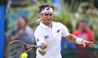 David Ferrer withdraws from Wimbledon with elbow injury