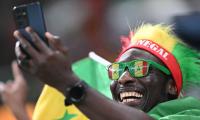 PICS: Dutch-Senegalese fans let colours run riot