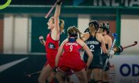 FIH Olympic Qualifier: USA edge past NZ to enter semis