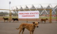 Dog-bite scare jolts Para Worlds; MCD steps up action