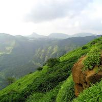 Lonavala is lush, green and beautiful in the rains