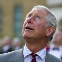 It's a bolt from the blue, Prince Charles seems to be thinking