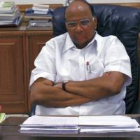 NCP chief Sharad Pawar has allowed Munde to continue