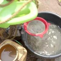 People are falling ill drinking muddy water like this