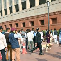 Security personnel with sniffer dogs