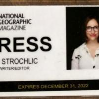 Nina Strochlic shares this image of her press card