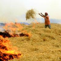A farmer burns stubble in Patiala