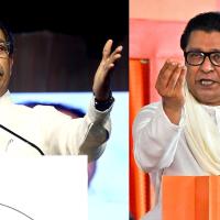 Uddhav Thackeray (left) and Raj Thackeray /File mage