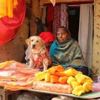 Pic: Rajesh Karkera/Rediff.com in Ayodhya