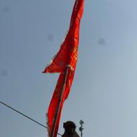 A monkey near a saffron flag in Ayodhya