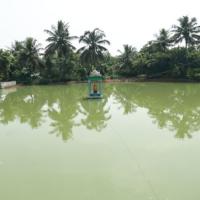 A pond in Kamala Harris' village