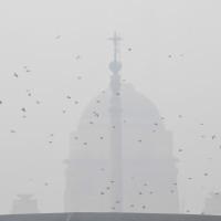 That's the Rashtrapati Bhavan hidden behind the smog