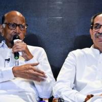 MVA allies Sharad Pawar and Uddhav Thackeray