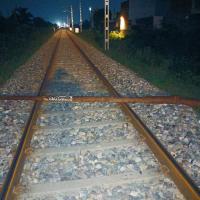 A log was found on a rail track last week