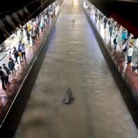 Submerged tracks last night at Bhandup station