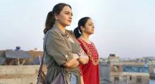 System Review: Courtroom Drama Lacks Spirit