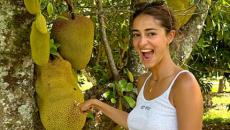 Ananya's Jackfruit Story