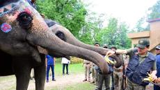 CM's Jungle Day Out