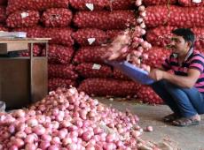 Onion Price...