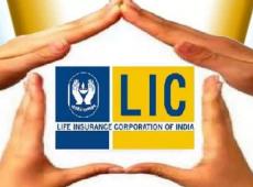 LIC Shares Surge...
