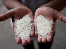 India Eases Rice...