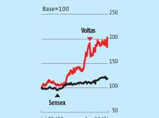 Voltas Profit...