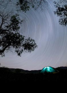 webstory image 1