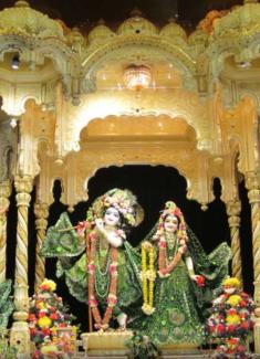webstory image 1
