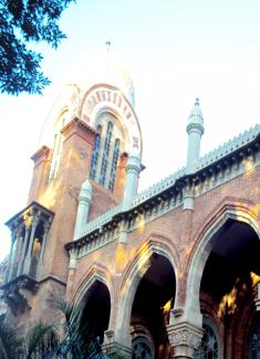 webstory image 2