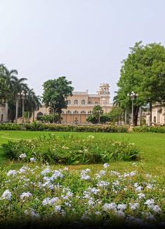 webstory image 1