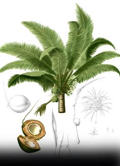 webstory image 1