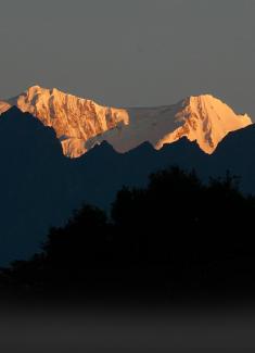 webstory image 1
