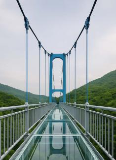 webstory image 2
