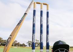 Umpire Dies After Bee Swarm Attack At Unnao Match