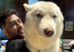 Dhoni cleared of IPL conflict of interest charges