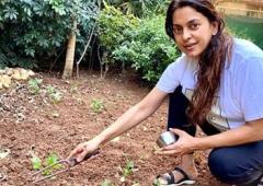 MumbaiU: Learn Astronomy, Drama, Gardening