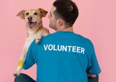 Ahimsa Fellowship: How To Earn A Rs 20K Stipend