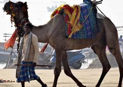 'Today's Traveller Is Driven More By...'