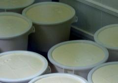 Cooking With Yoghurt: 13 Creamy Recipes