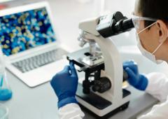 Is Pharmaceutical Engg Better Than BPham And PharmD?