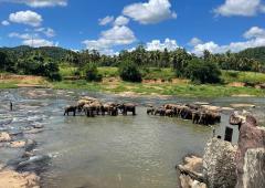 Sri Lanka: Paradiso For Travellers