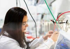 Summer Research Fellowship For Sc Students, Teachers